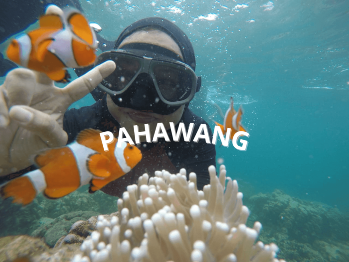 https://miletour.id/product-category/paket-tour-pahawang/